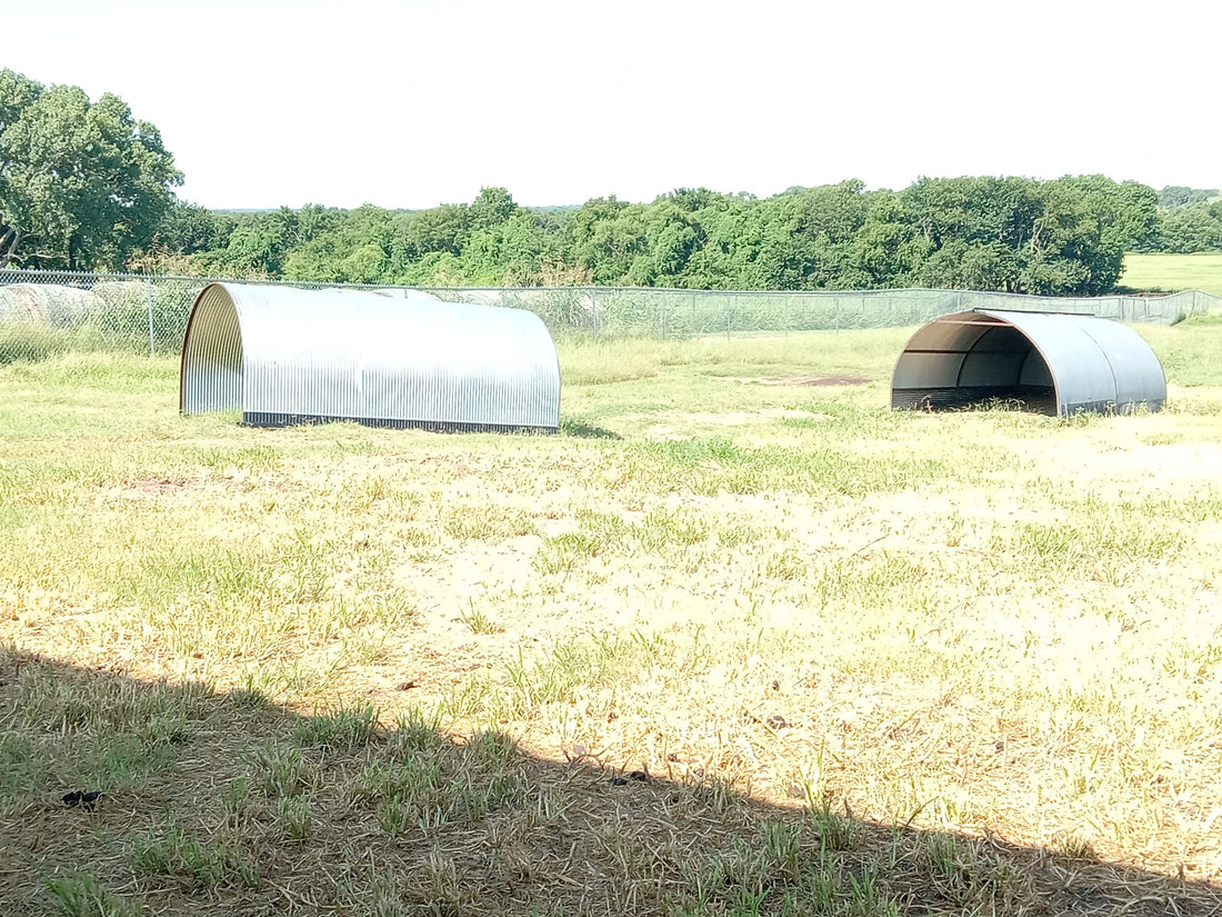 Bridging the Gap between Textbook, Livestock and the Farmer - Thank you from JSW Farms & Blue Paradise Dairy
