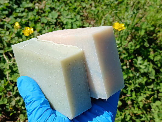 Sunshine Skin: Green Tea & Toasted Coconut Goat Milk Soaps for Summer ☀️🌼