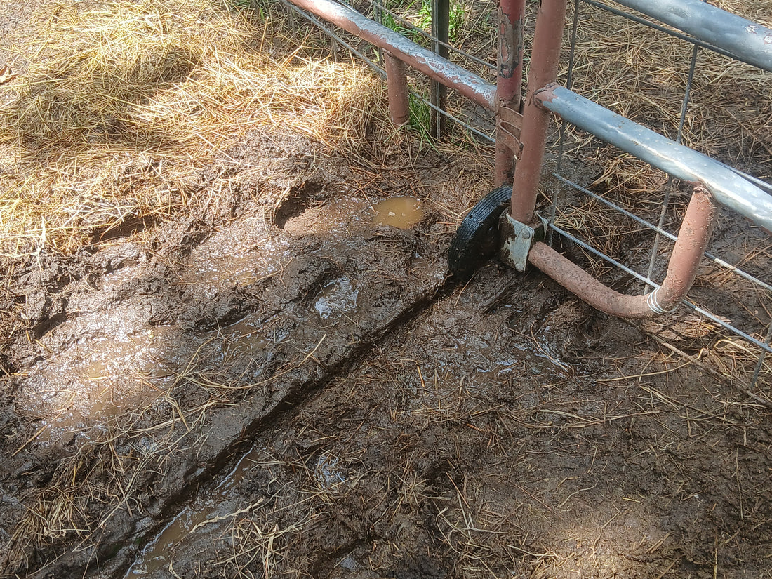 Country Dirt