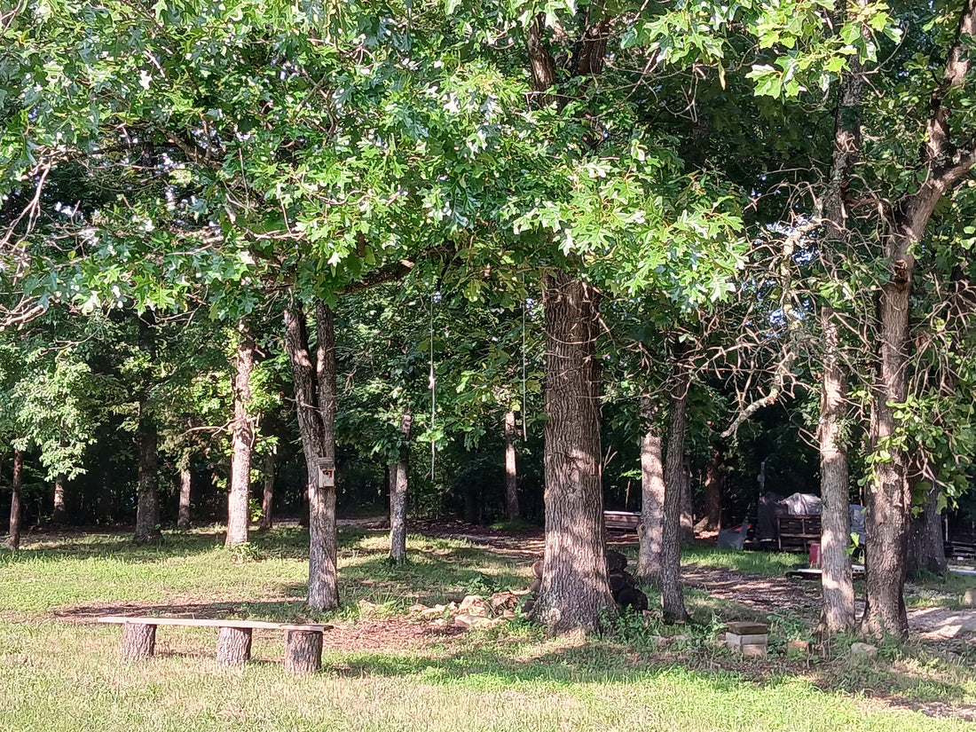 Just for Fun - More Country Dirt