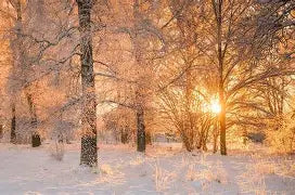 From Farm Days To Skincare Truths: A Year Of Lessons, Trends, And Grounded Growth