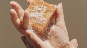 Discover the Healing Power of Goat Milk