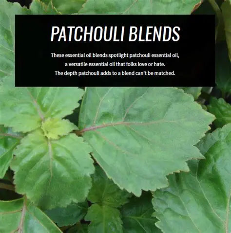 🌾 Country Dirt Goat Milk Soap