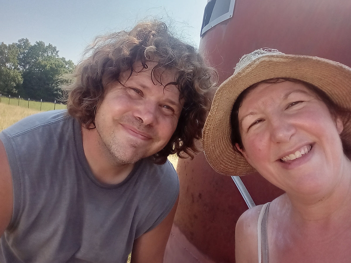 Goats grazing in pasture